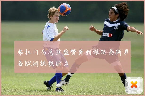 弗拉门戈总监盛赞费利佩路易斯具备欧洲执教能力