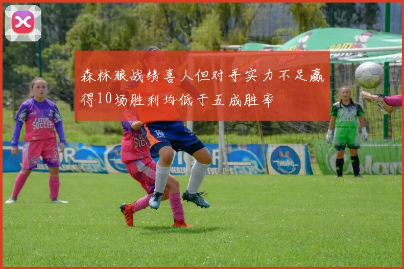 森林狼战绩喜人但对手实力不足赢得10场胜利均低于五成胜率